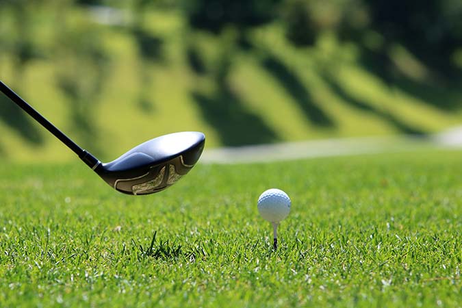 Organise a golf day