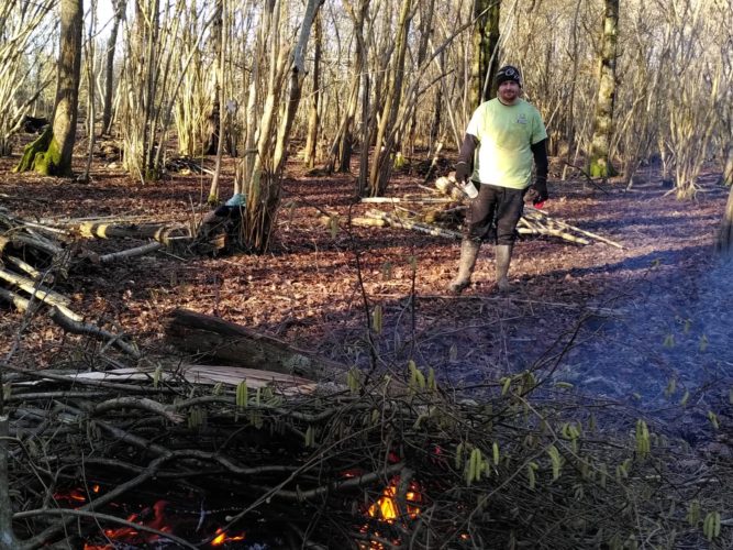 Scott at the woodland project